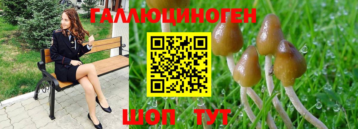 Минусинск  даркнет сайт  Псилоцибиновые грибы Psilocybine cubensis  Вход с VPN  Галлюциногенные грибы GOLDEN TEACHER 